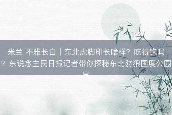 米兰 不雅长白丨东北虎脚印长啥样？吃得饱吗？东说念主民日报记者带你探秘东北豺狼国度公园