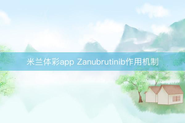 米兰体彩app Zanubrutinib作用机制
