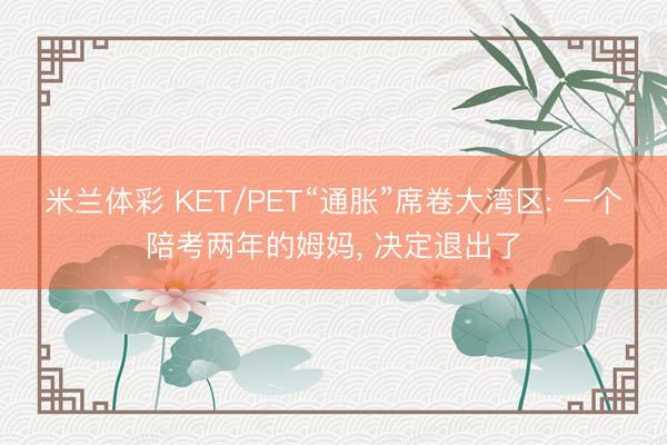 米兰体彩 KET/PET“通胀”席卷大湾区: 一个陪考两年的姆妈， 决定退出了