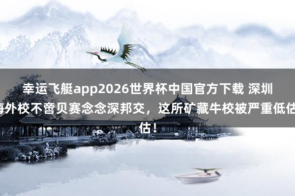 幸运飞艇app2026世界杯中国官方下载 深圳海外校不啻贝赛念念深邦交，这所矿藏牛校被严重低估！