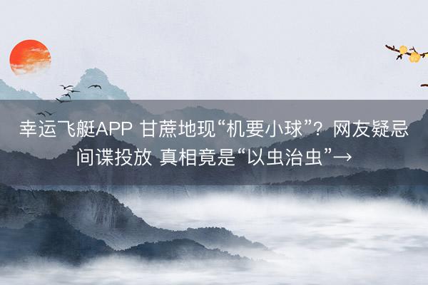 幸运飞艇APP 甘蔗地现“机要小球”？网友疑忌间谍投放 真相竟是“以虫治虫”→