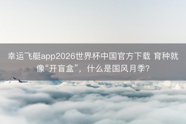 幸运飞艇app2026世界杯中国官方下载 育种就像“开盲盒”，什么是国风月季？