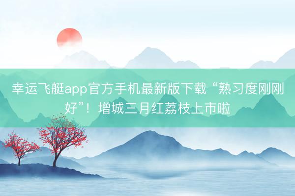 幸运飞艇app官方手机最新版下载 “熟习度刚刚好”！增城三月红荔枝上市啦